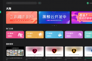 黑鲸工具箱 V4.0 全新上线