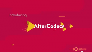 【PR/AE/ME插件】视频文件导出很大？用这个渲染插件轻松搞定！-A-P00015