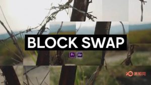 中文汉化AE/PR插件-随机生成像素块视觉特效 Block Swap v1.0 Win破解版-A-P00080