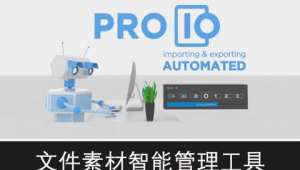 【AE/PR脚本】文件素材智能管理工具 Pro IO v2.16.0+使用教程-A-P00105