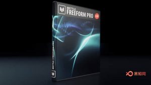 AE插件-专业3D网格变形扭曲插件 FreeForm Pro v1.99 Win/Mac破解版 + 使用教程-A-P00071