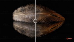 【AE/PR插件】视频智能锐化清晰 Fixel EdgeHancer v3.0.0 Win/Mac破解版-A-P00073