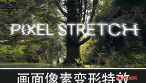 【AE/PR插件】画面像素拉伸扭曲变形特效 Pixel Stretch v1.1.0 Win破解版-A-P00152