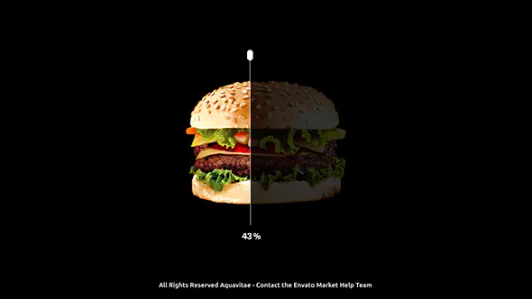 图像信息图创建者Image Infographic Creator-AE模板