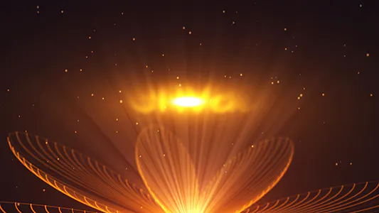 花卉标志展示Flower Logo Reveal-AE模板