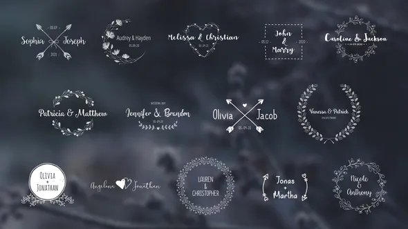 鲜花手绘婚礼标题包Wedding Titles Pack-AE模板