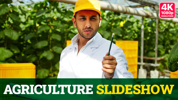 农业牛文化农场食物水果Agriculture Slideshow-AE模板