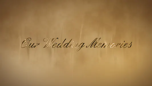 婚礼金字新娘家庭浪漫Wedding gold words-AE模板