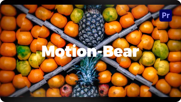 Premiere Pro 的快速徽标Fast Logo for Premiere Pro-PR模板