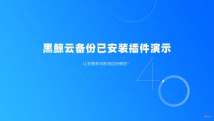 黑鲸云-插件云端备份功能