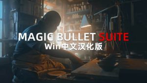 Win【中文】汉化-红巨人降噪磨皮美颜调色套装AE/PR插件 MBS 2024.1.0