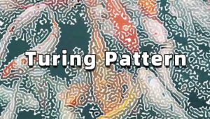 【中文】汉化版-创意抽象图灵纹理效果AE插件 Turing Pattern v1.1 Win
