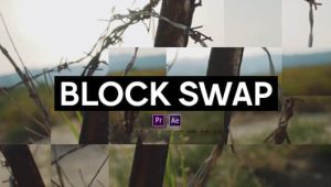 【英文】Mac苹果版-随机生成像素块视觉特效AE/PR插件 Block Swap v1.5.1