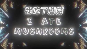 【英文】Mac苹果版-人工智能AI神经网络图像生成器AE插件 I Ate Mushrooms v1.7.15