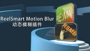 【英文】AE/PR插件-动态运动模糊RSMB插件 ReelSmart MotionBlur Pro v6.4.4 Win