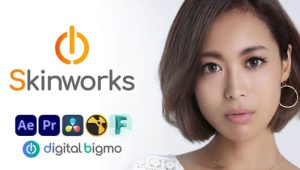 【英文】AE/PR面部修饰人脸磨皮美颜插件 Digitalbigmo Skinworks 2024.11.00 Win