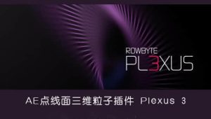 【英文】AE插件-点线面三维粒子特效 Plexus v3.2.8 Win
