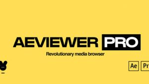 AE/PR脚本-媒体资源项目模板素材预览管理应用工具 AEviewer Pro V2.2 专业版