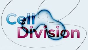 AE脚本-液体气泡融合分裂视觉效果 Cell Division V1.3+使用教程